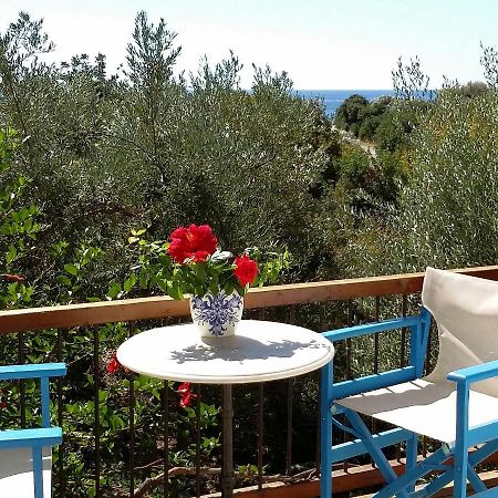 Olive Tree Cottages Palaiochora Exterior photo