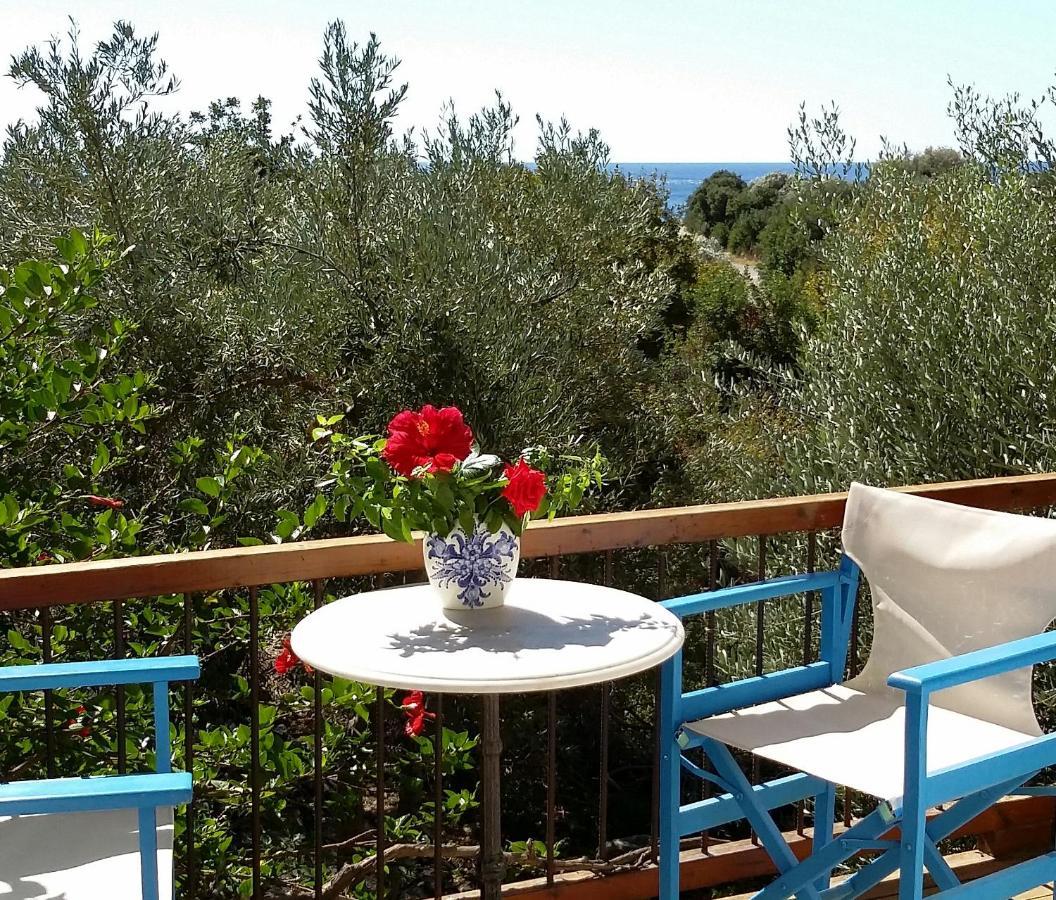 Olive Tree Cottages Palaiochora Exterior photo