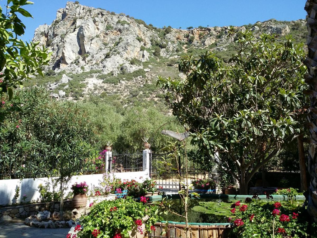 Olive Tree Cottages Palaiochora Exterior photo