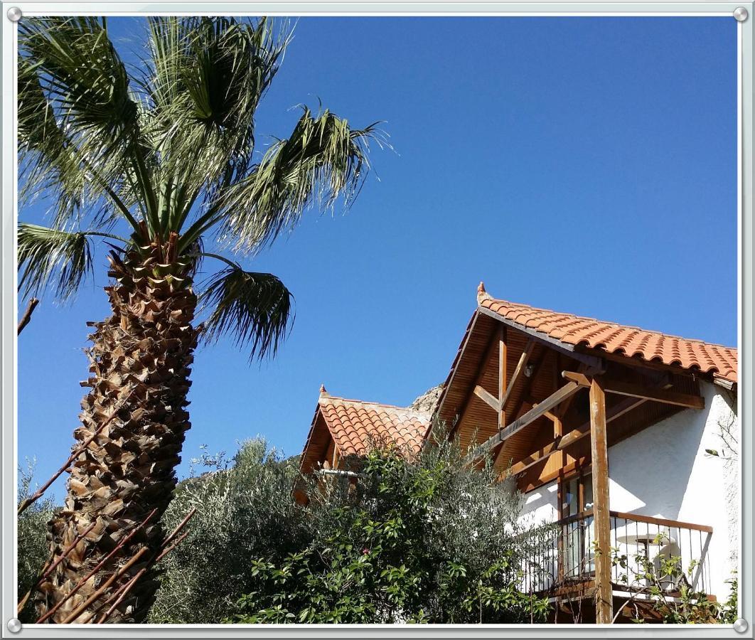 Olive Tree Cottages Palaiochora Exterior photo